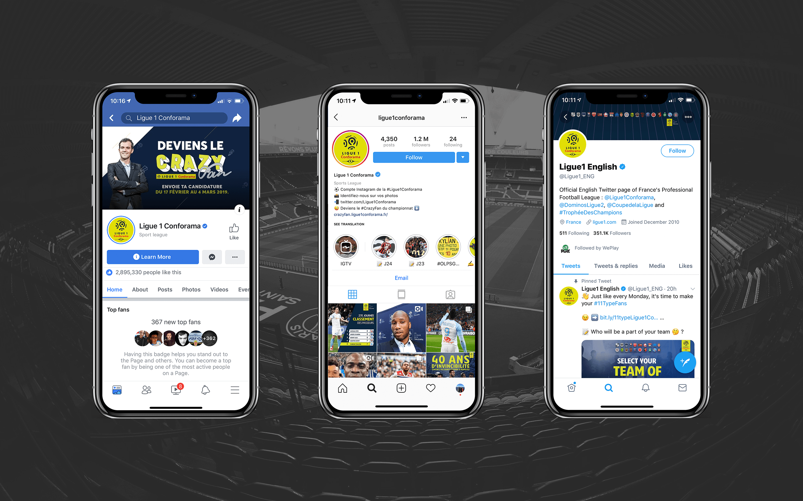 LFP mockup