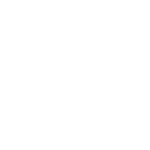 New Zealand Rugby logo white