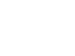 New Zealand Rugby logo white